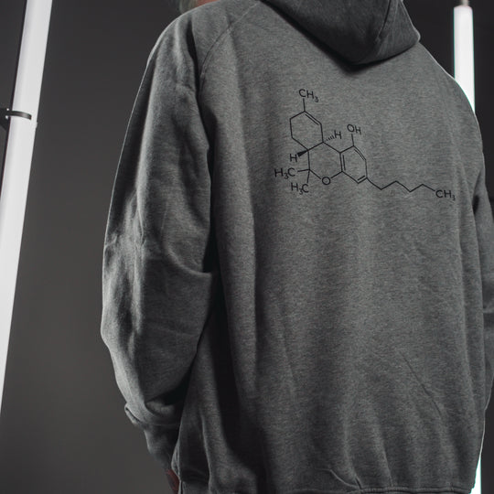 Männliches Model grauer Four 20 Pharma Hoodie Rückseite